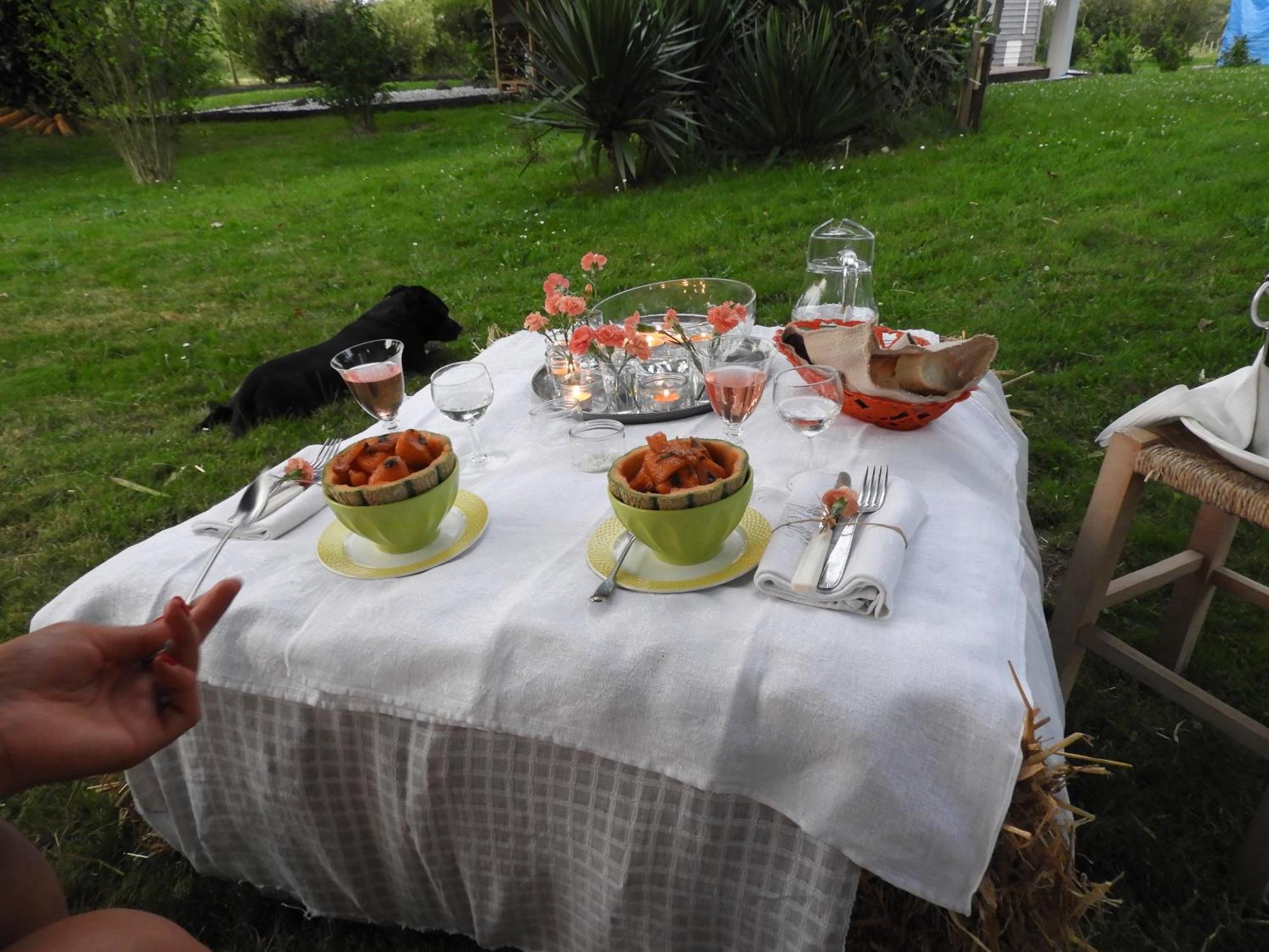 Tente Safari Lodge Dans Foret Luxuriante Vielle-Tursan Екстериор снимка